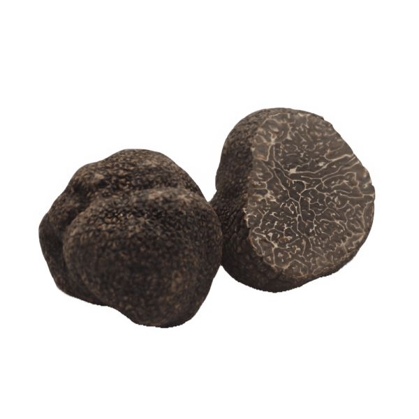 DBFS-166 TRUFFE MASSE Truffe fraiche Melanosporum au poids 100 gr