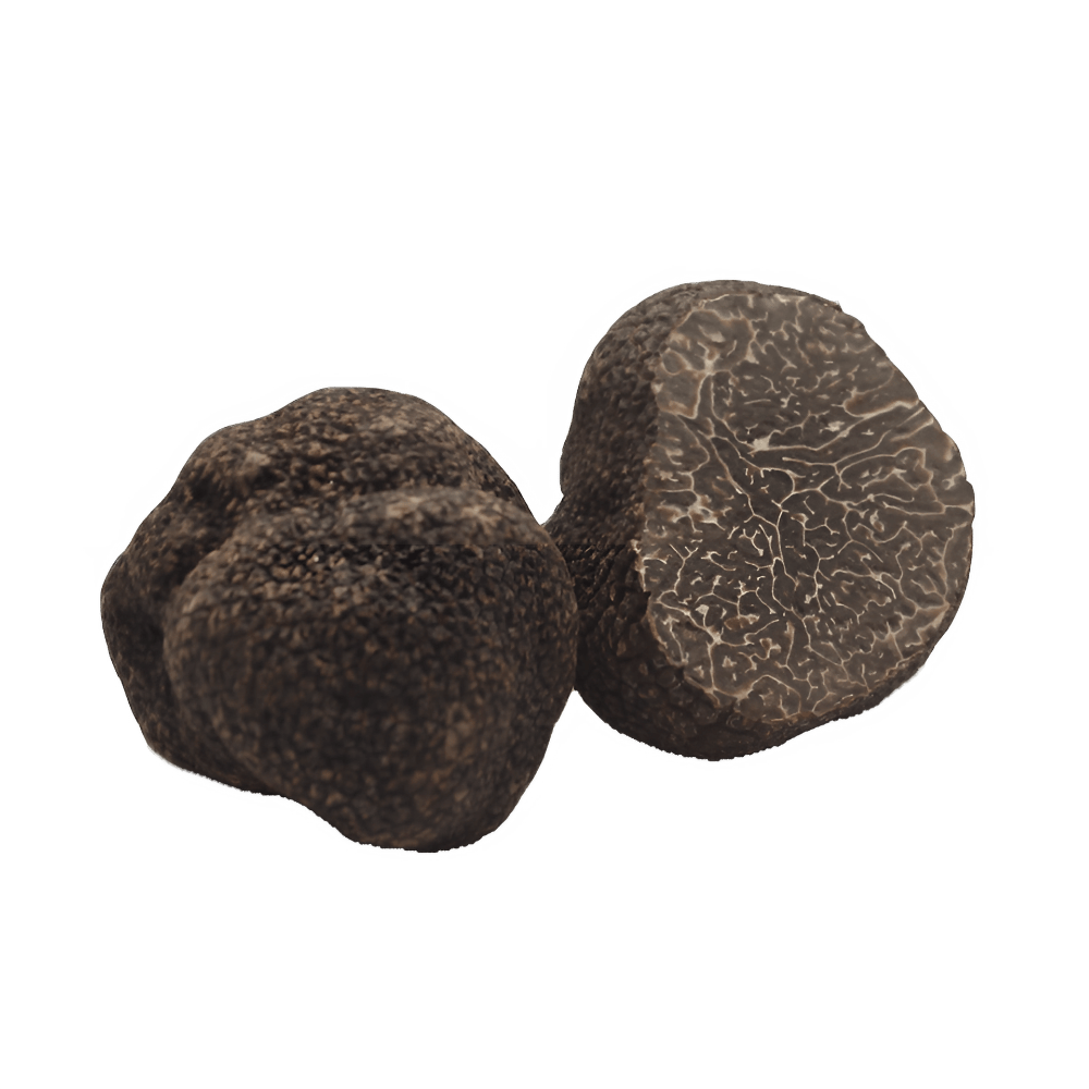 DBFS-166 TRUFFE MASSE Truffe fraiche Melanosporum au poids 100 gr